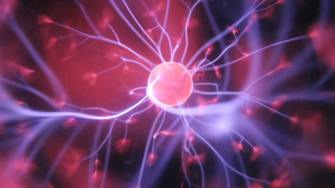 Nöroloji Nedir, Nörolog Ne Yapar, Nöroloji Hangi Hastalıklara Bakar?