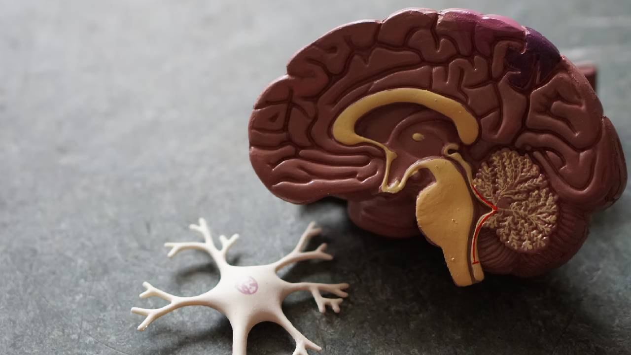 Hafızayı en iyi ne güçlendirir? Hafızayı diri tutmak için bu aktiviteleri yapın!