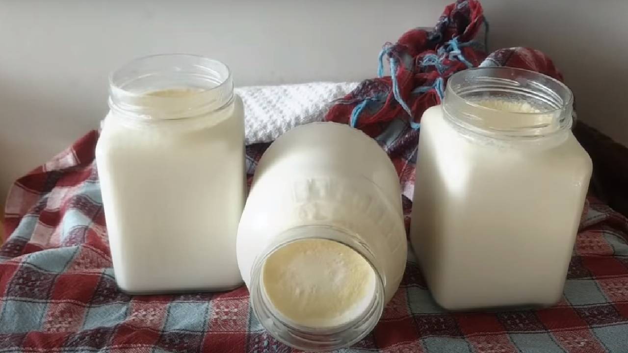 Susuz, taş gibi yoğurt yapmanın 10 sırrı