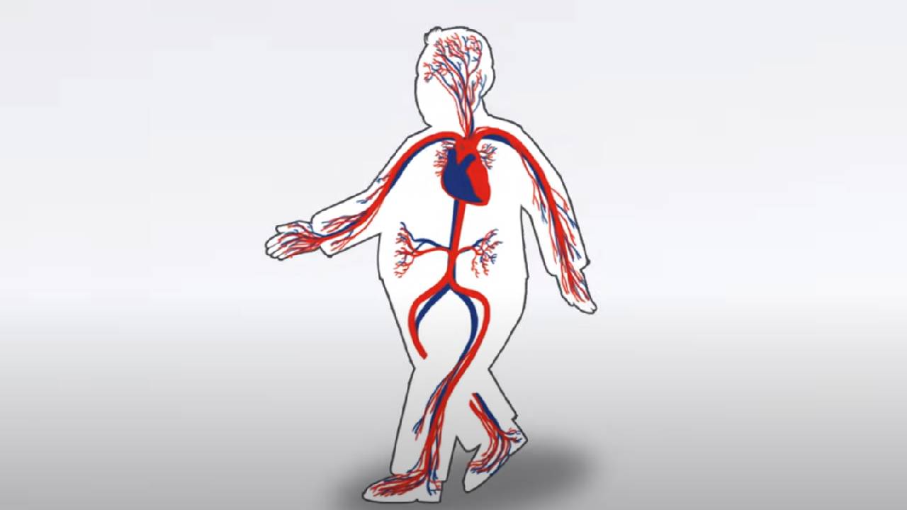 Kolesterol nedir? Kolesterol çeşitleri nelerdir? Normal değerleri kaç olmalıdır?