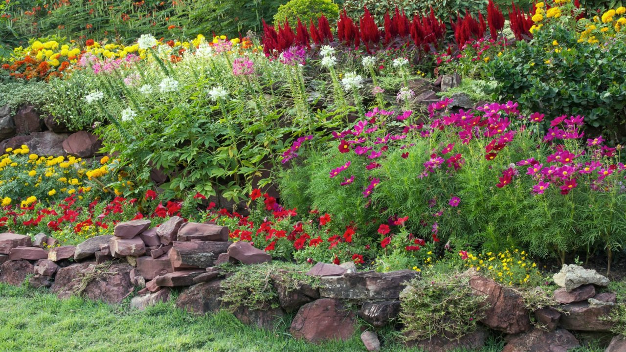 Karbonat bahçenizde en iyi dostunuz olacak