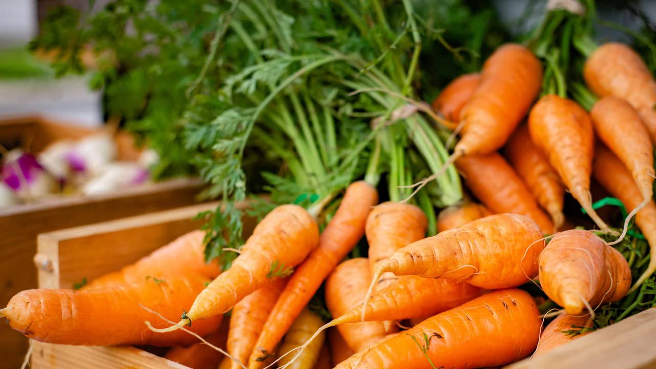 Havucun faydaları nelerdir? Havuç neye iyi gelir?