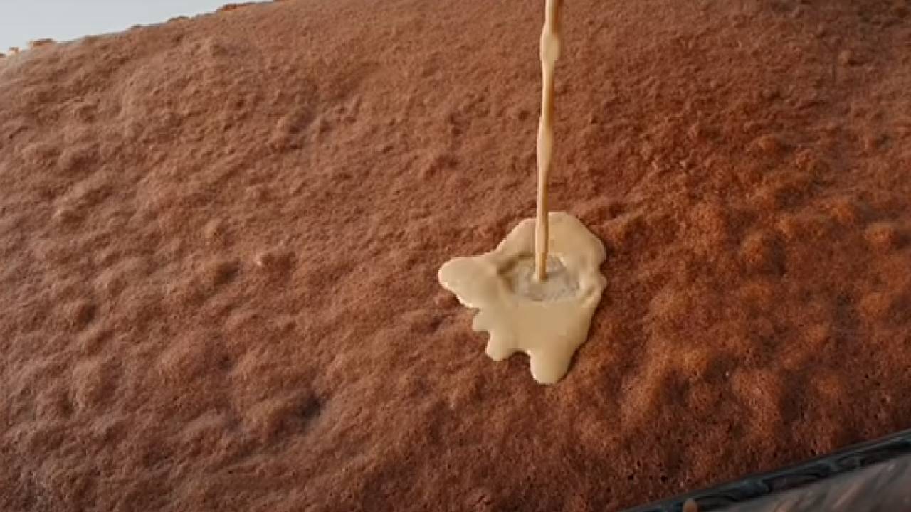 Büyük borcamda nescafeli çikolatalı pasta nasıl yapılır?